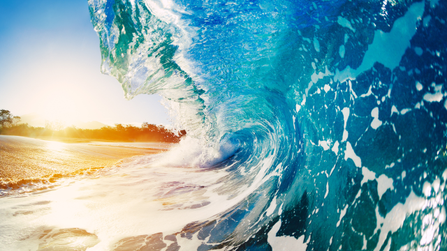 モチーフに込められた意味 〜ハワイアンジュエリーのデザインが語る物語〜